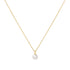 Gold Shell Pearl Drop Pendant Necklace
