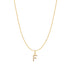 Gold Letter F Initial Necklace