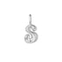 Silver S Letter Charm