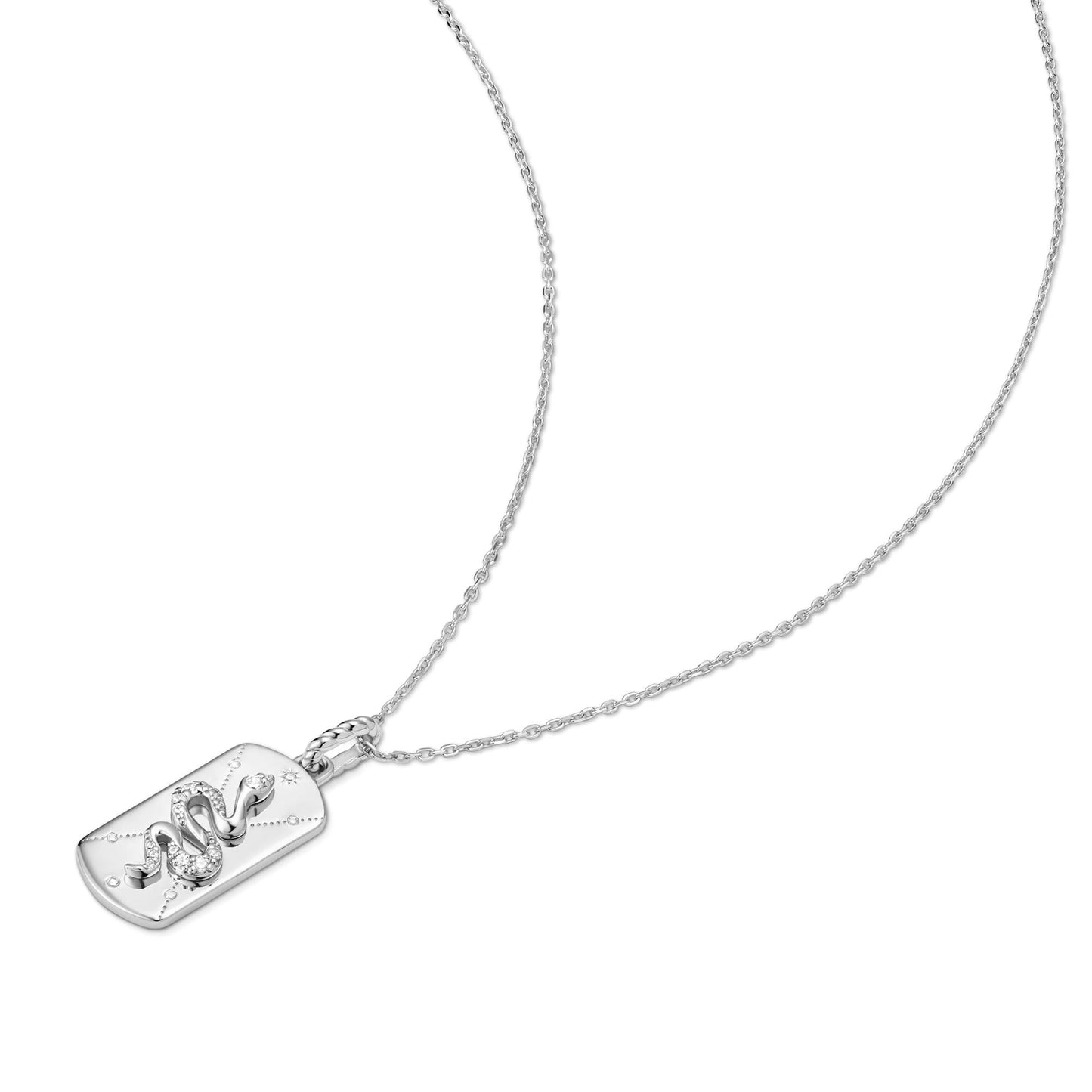 Silver Serpent Necklace